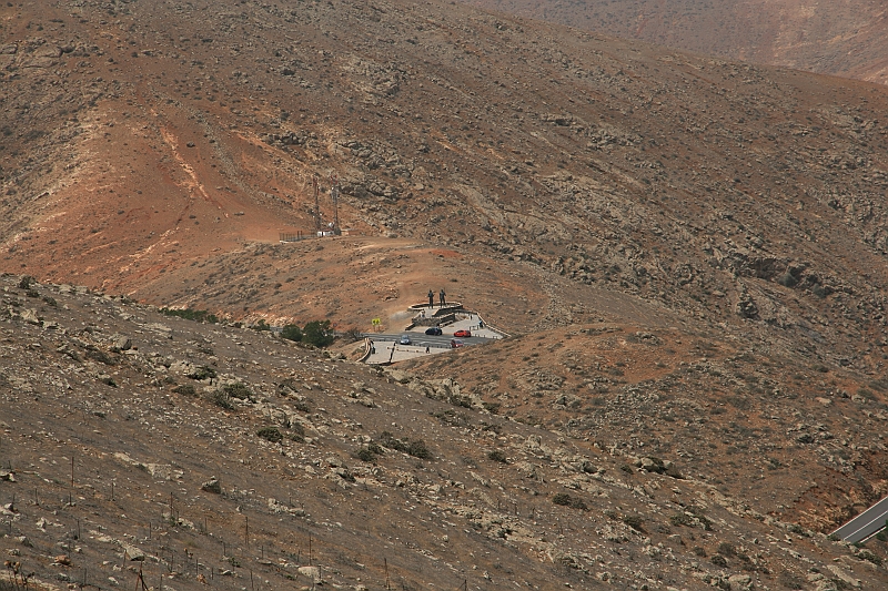 Kanary_2010 170